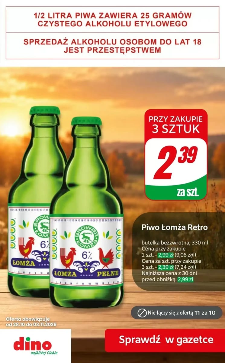 Gazetka Dino, strona 10 z 10