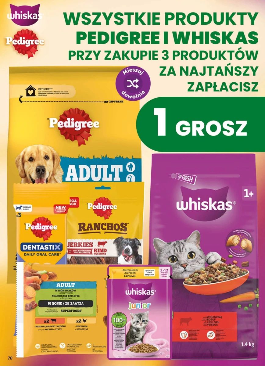 Gazetka Dino, strona 70 z 78