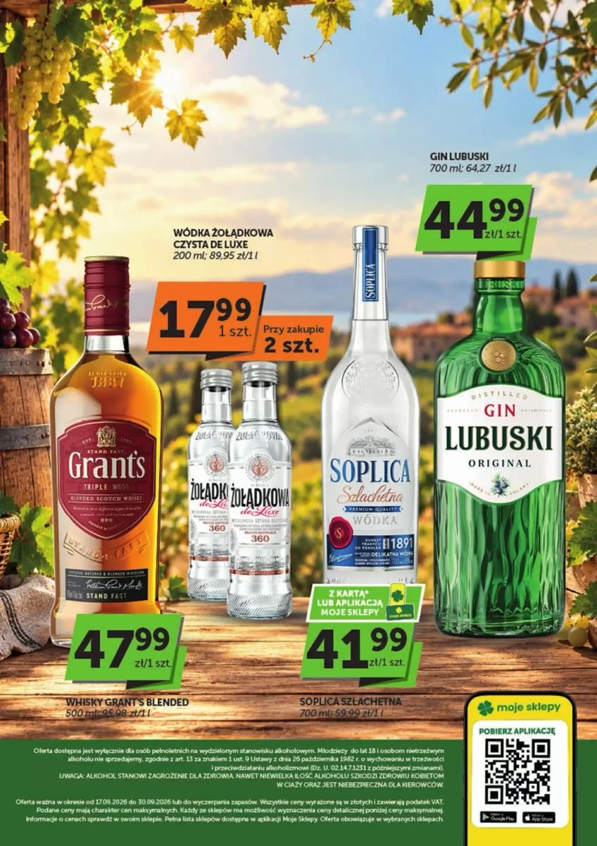 Gazetka Groszek, strona 2 z 2