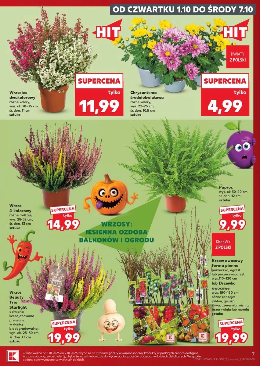 Gazetka Kaufland, strona 7 z 69