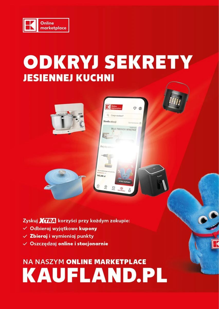 Gazetka Kaufland, strona 14 z 19