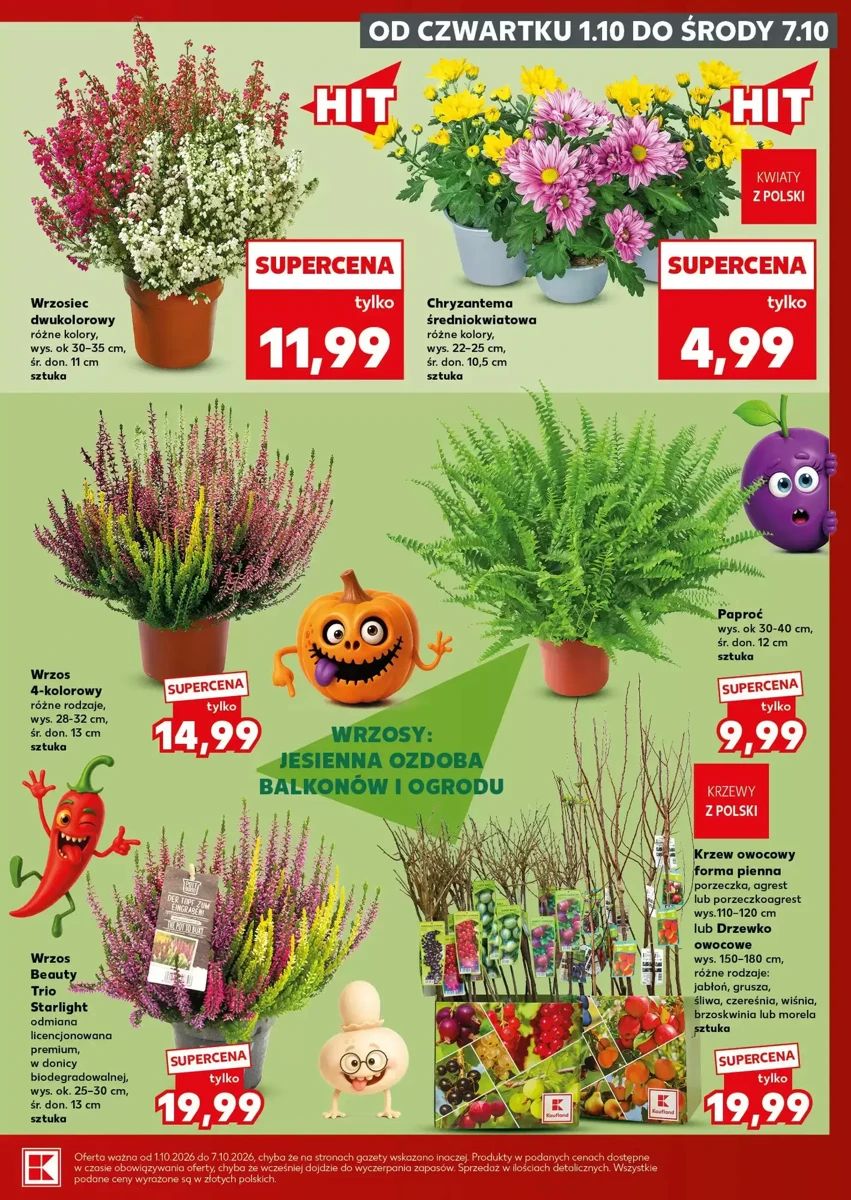 Gazetka Kaufland, strona 7 z 28