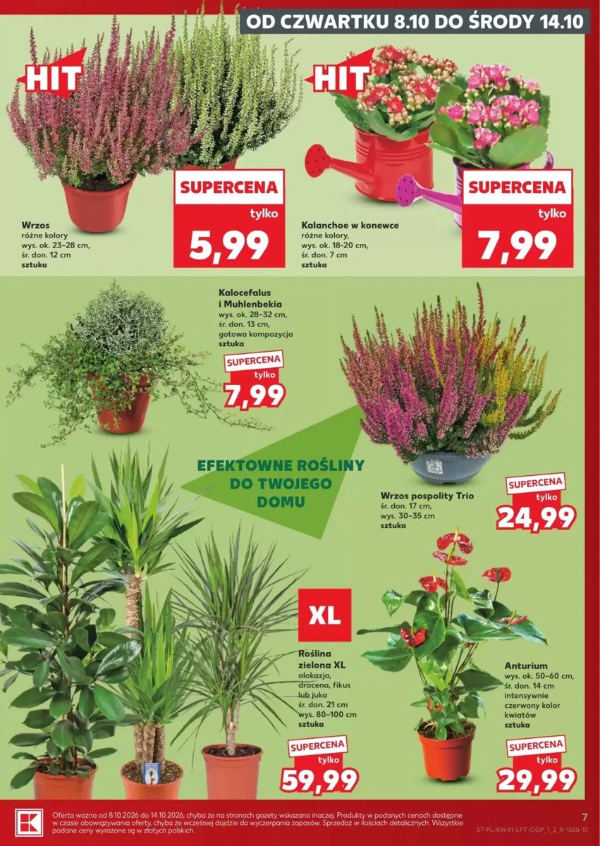 Gazetka Kaufland, strona 7 z 70