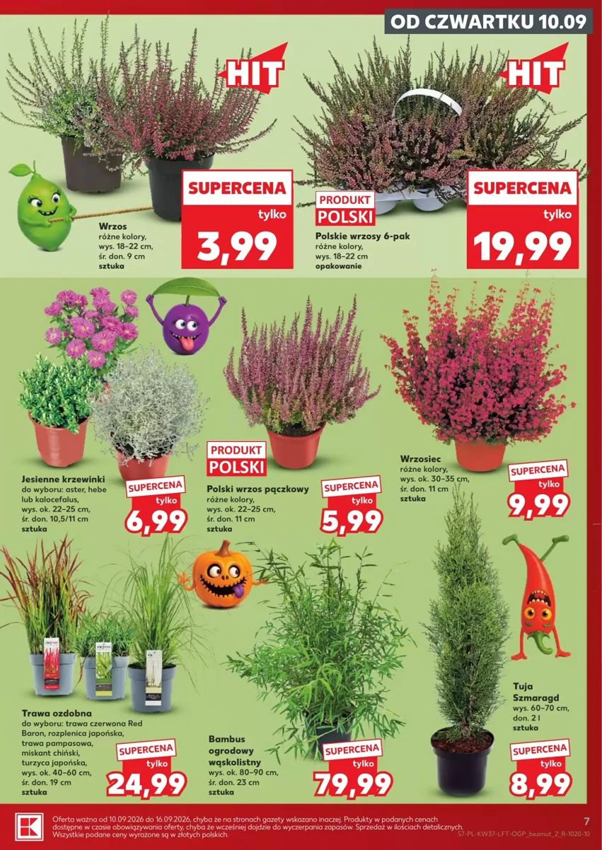 Gazetka Kaufland, strona 7 z 64