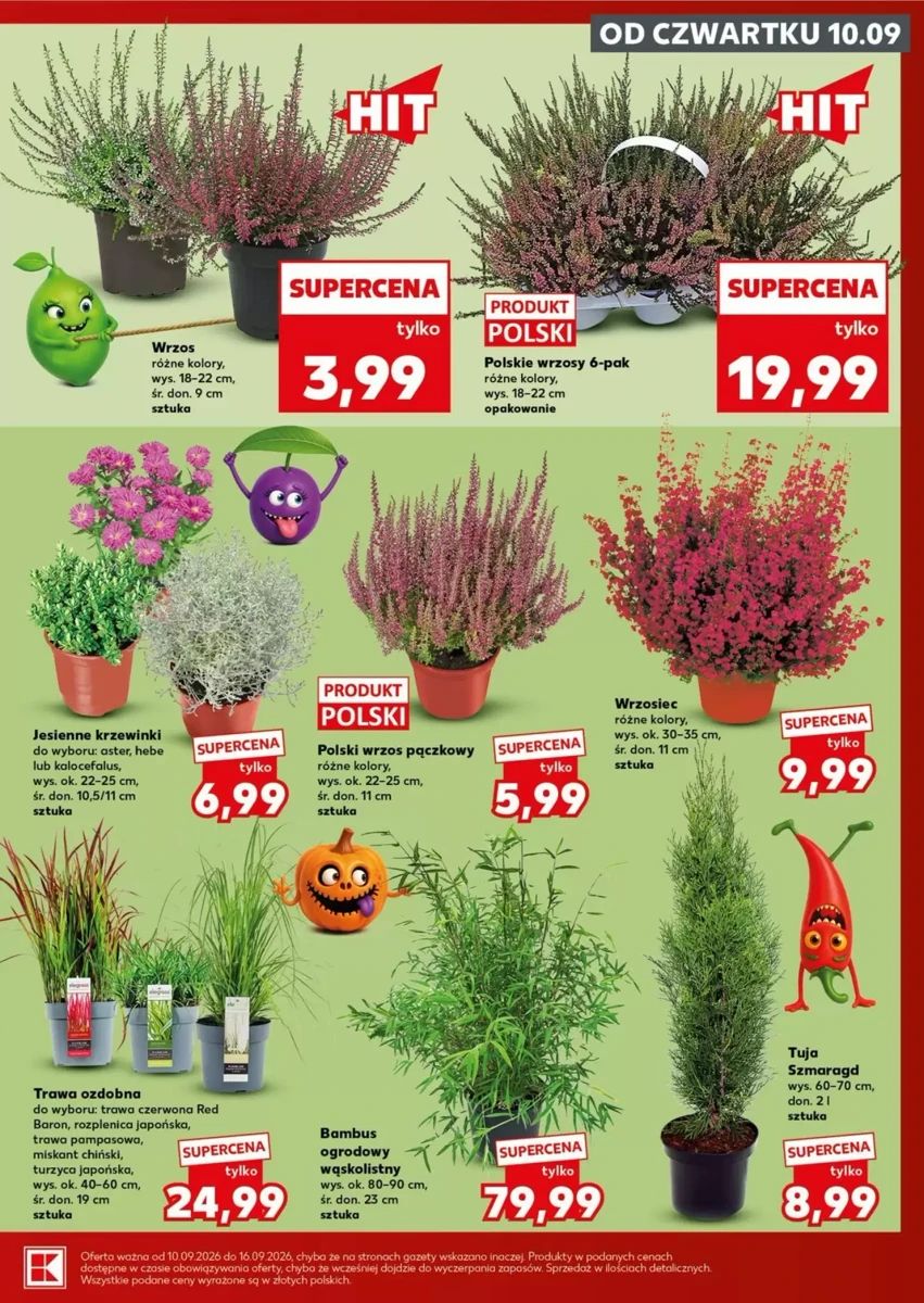 Gazetka Kaufland, strona 7 z 28