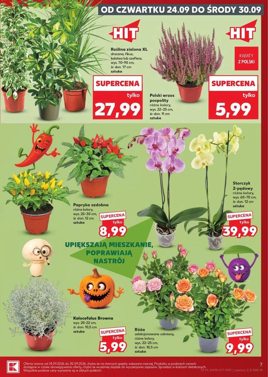 Gazetka Kaufland, strona 7 z 71