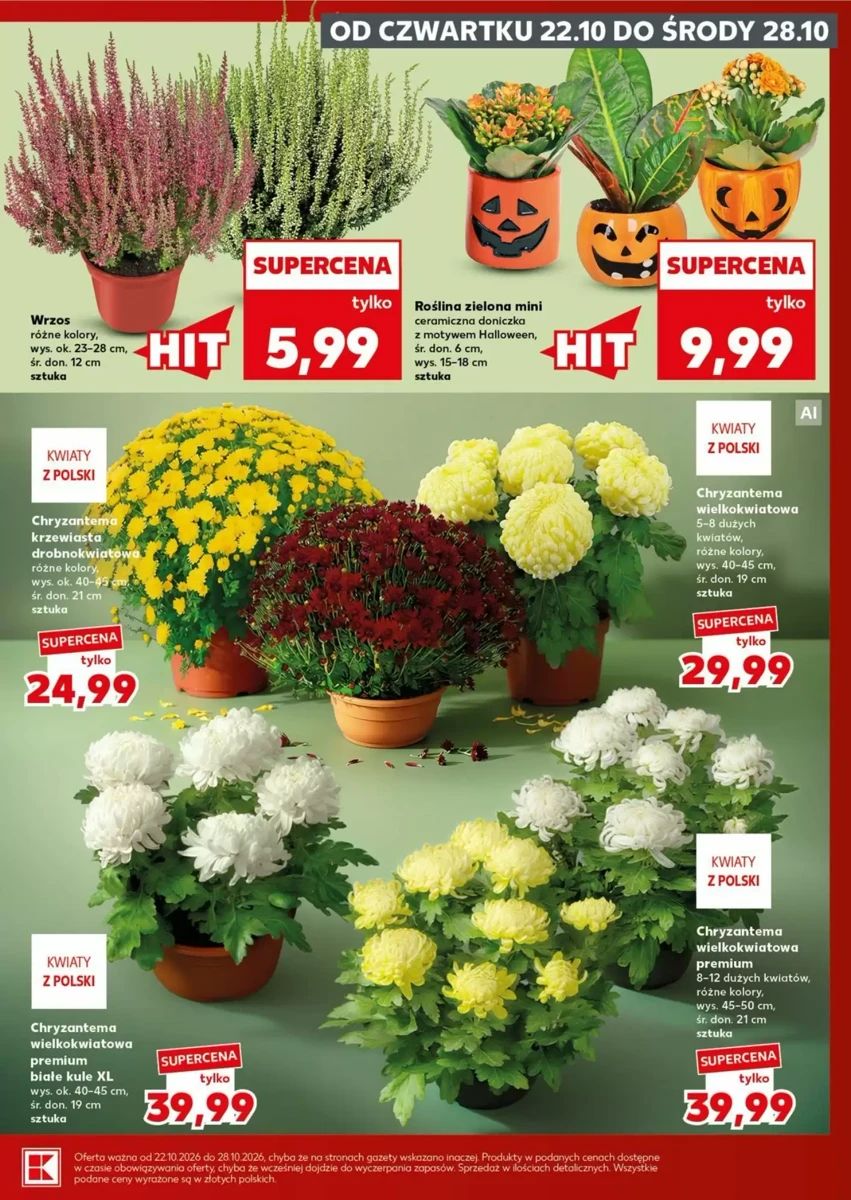 Gazetka Kaufland, strona 9 z 26