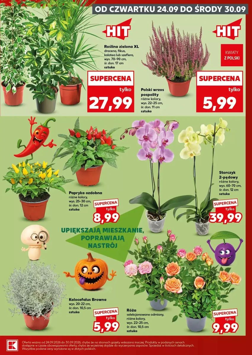Gazetka Kaufland, strona 7 z 28