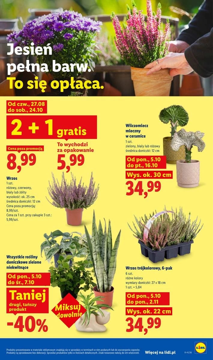 Gazetka Lidl, strona 89 z 101