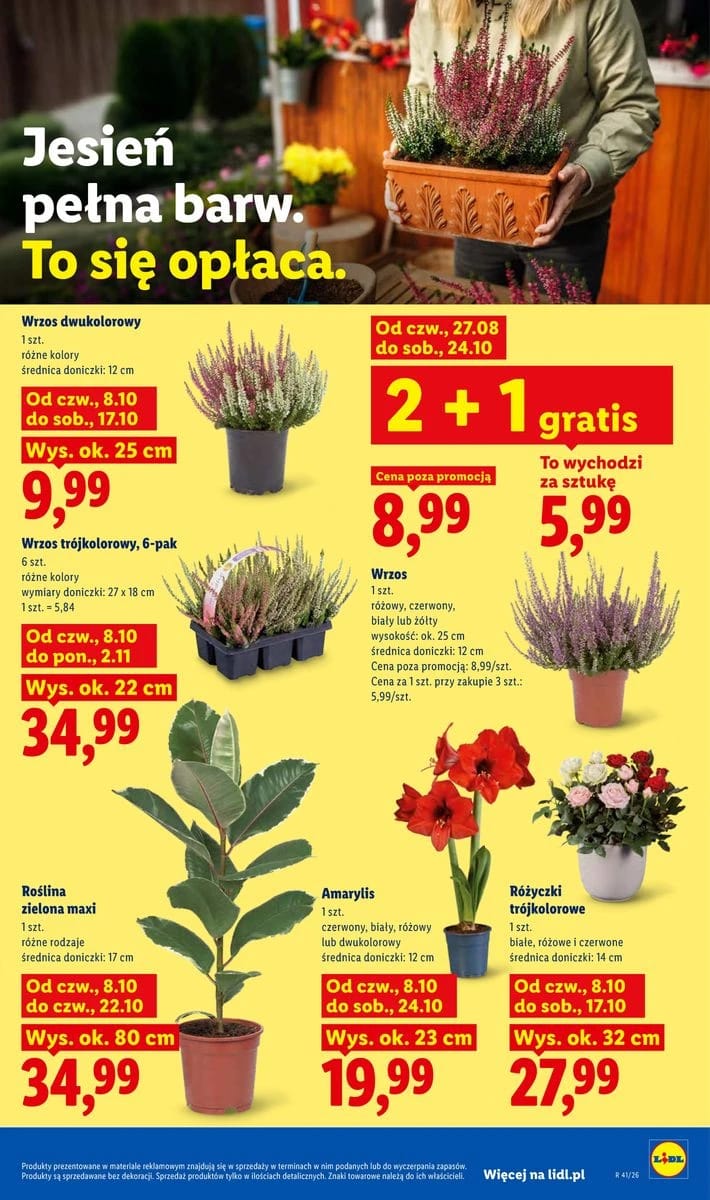Gazetka Lidl, strona 85 z 98