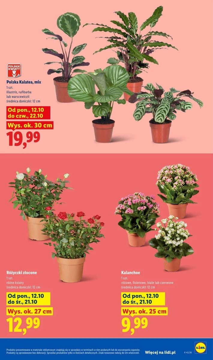 Gazetka Lidl, strona 9 z 114