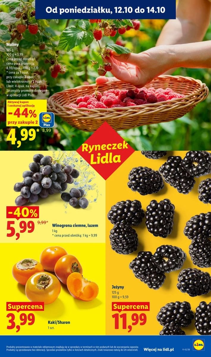 Gazetka Lidl, strona 51 z 114