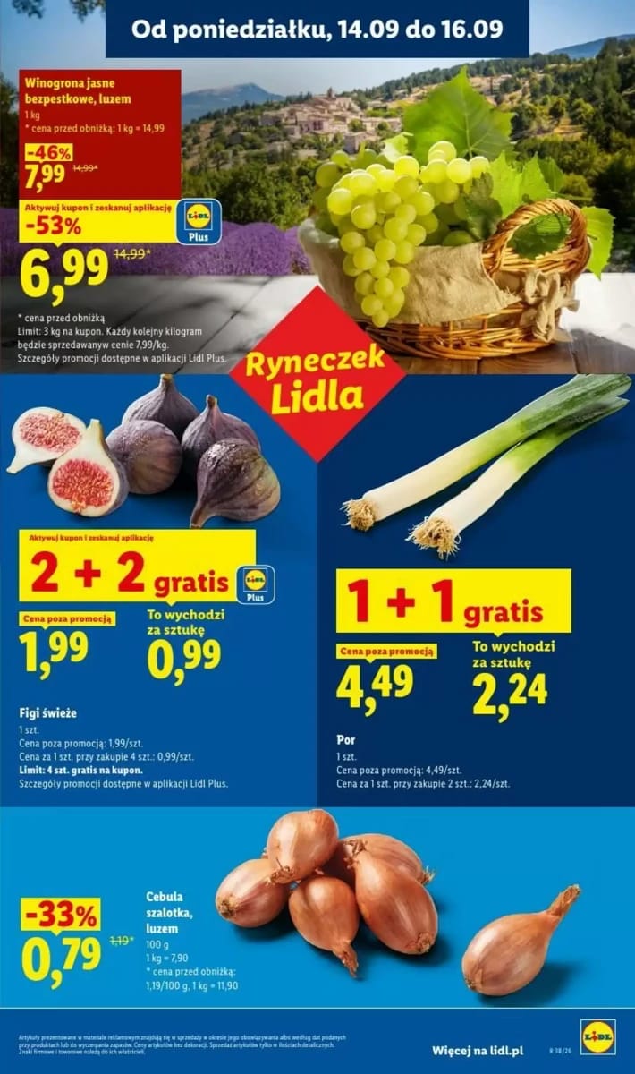 Gazetka Lidl, strona 31 z 81