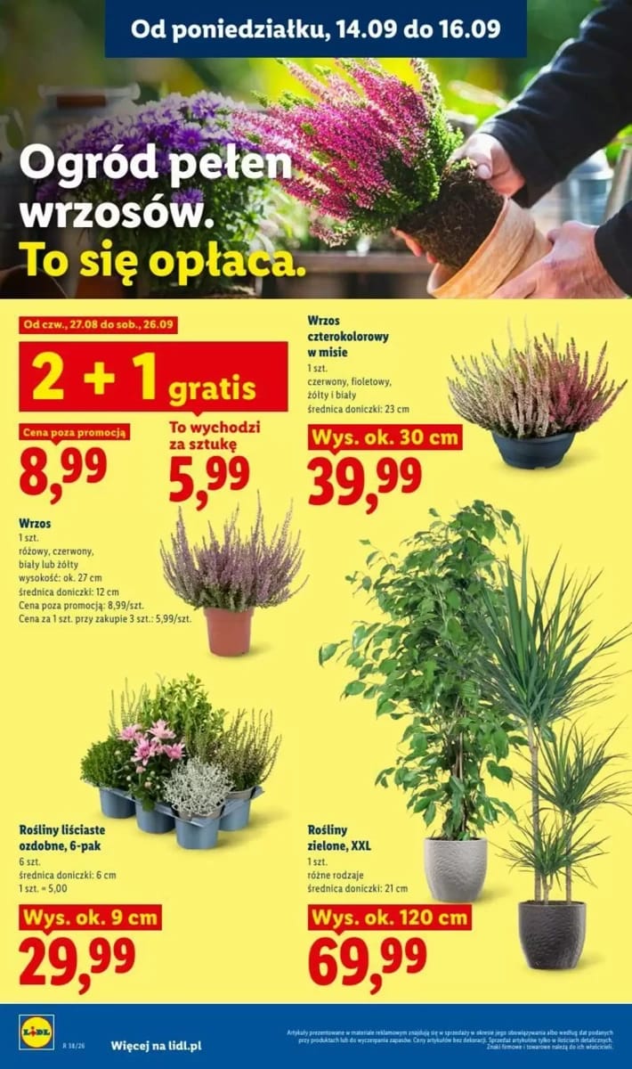 Gazetka Lidl, strona 78 z 81