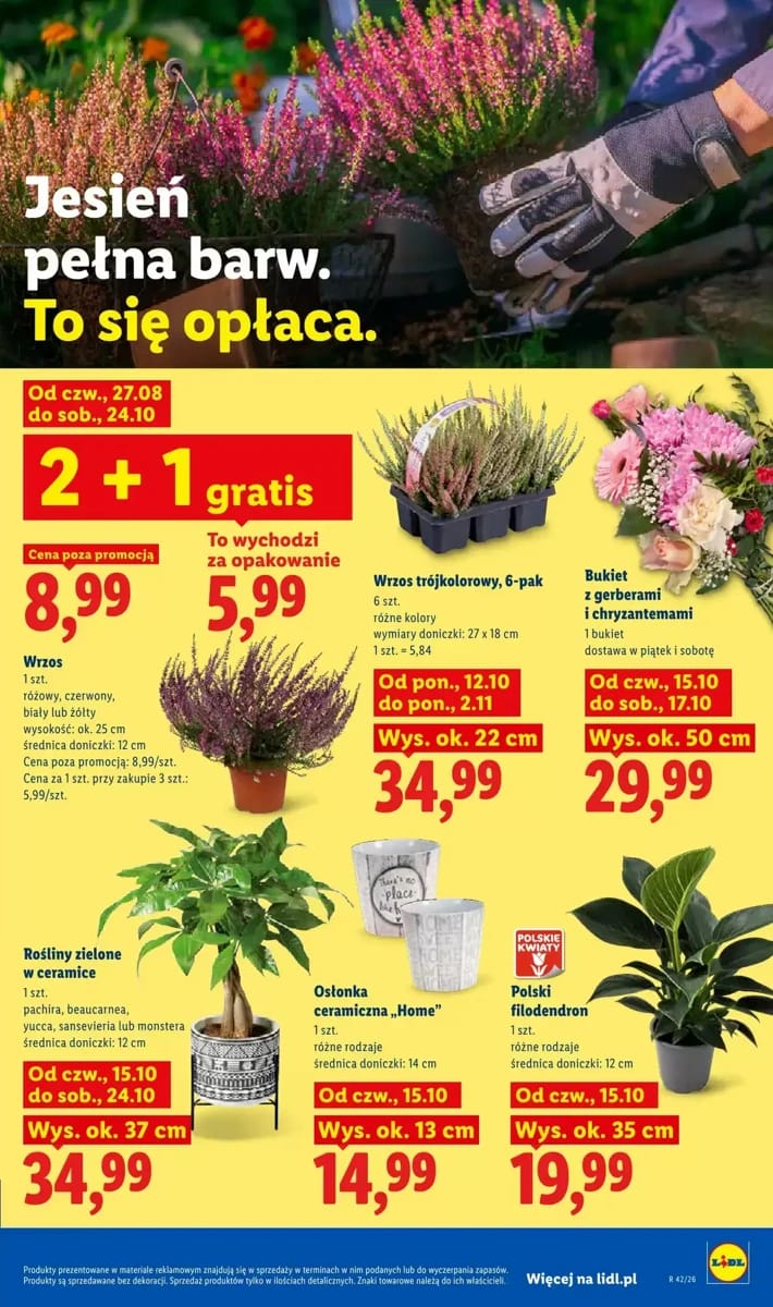 Gazetka Lidl, strona 105 z 113