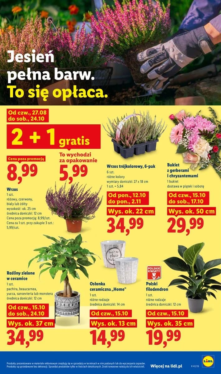 Gazetka Lidl, strona 107 z 115