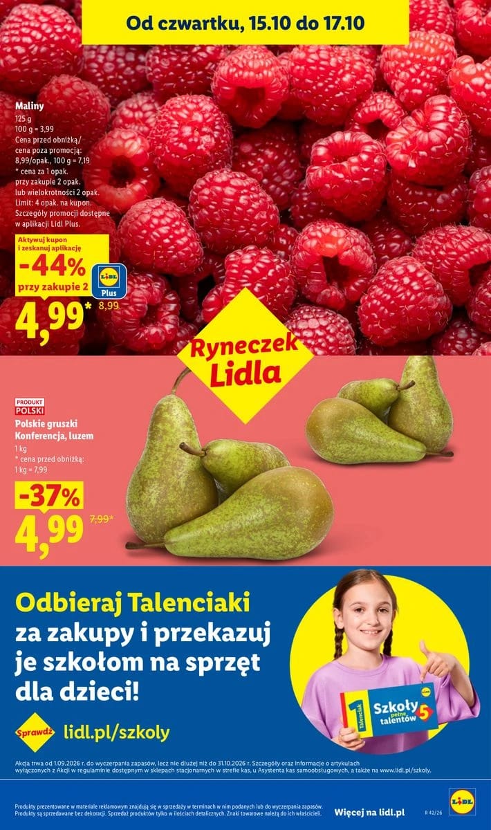 Gazetka Lidl, strona 51 z 115