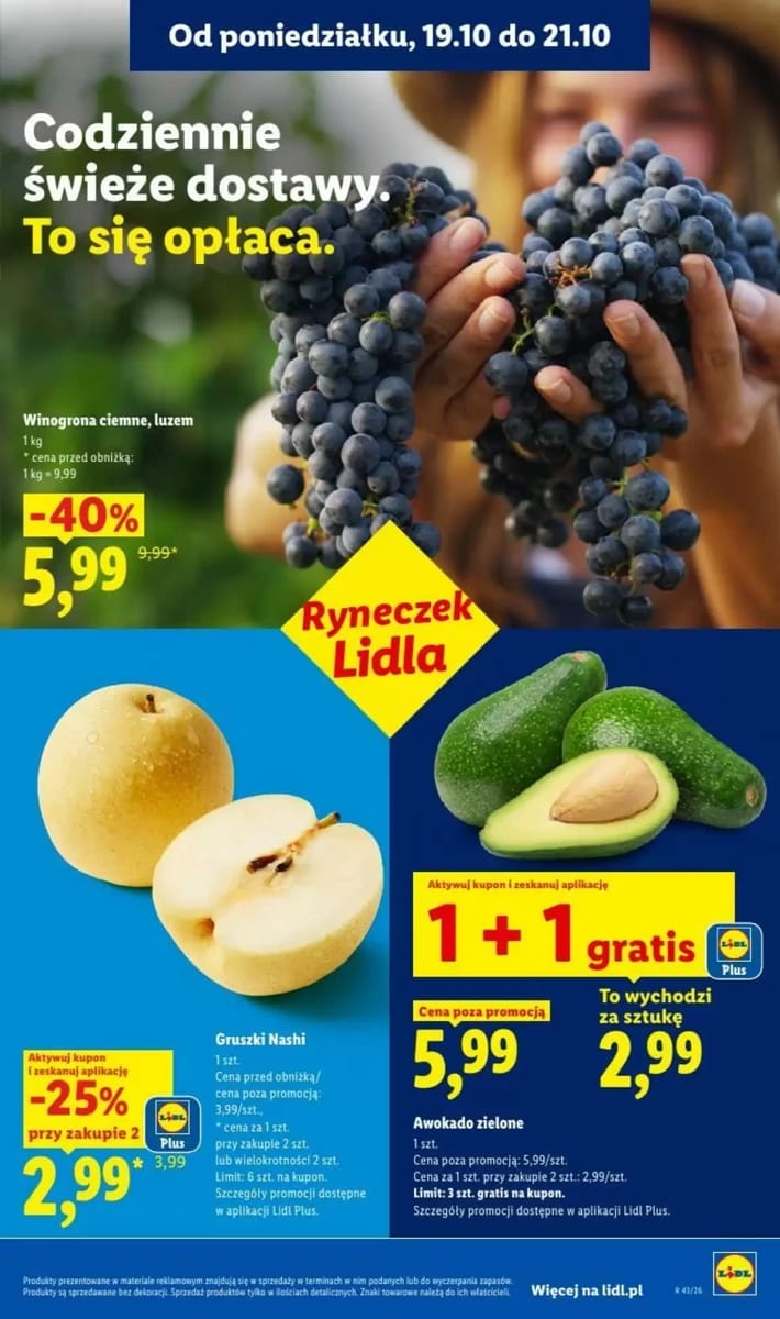 Gazetka Lidl, strona 39 z 102
