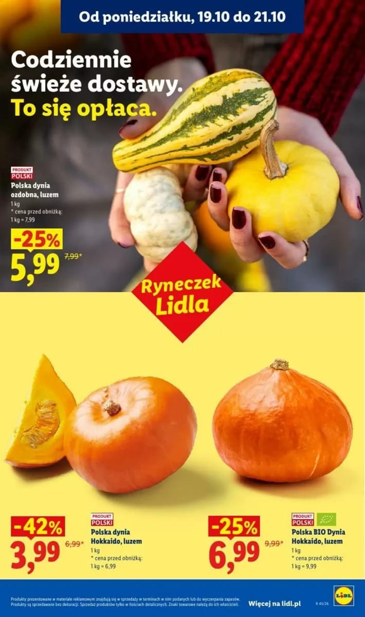 Gazetka Lidl, strona 43 z 102