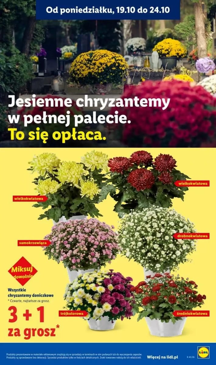 Gazetka Lidl, strona 97 z 102