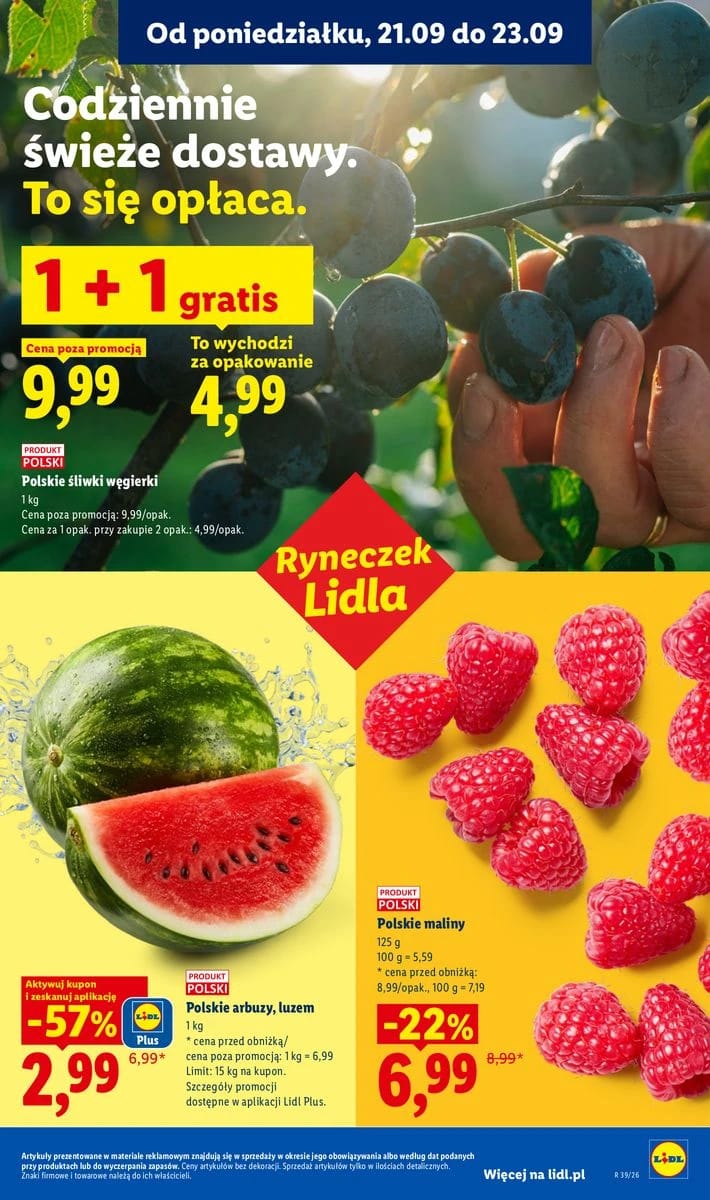 Gazetka Lidl, strona 33 z 99