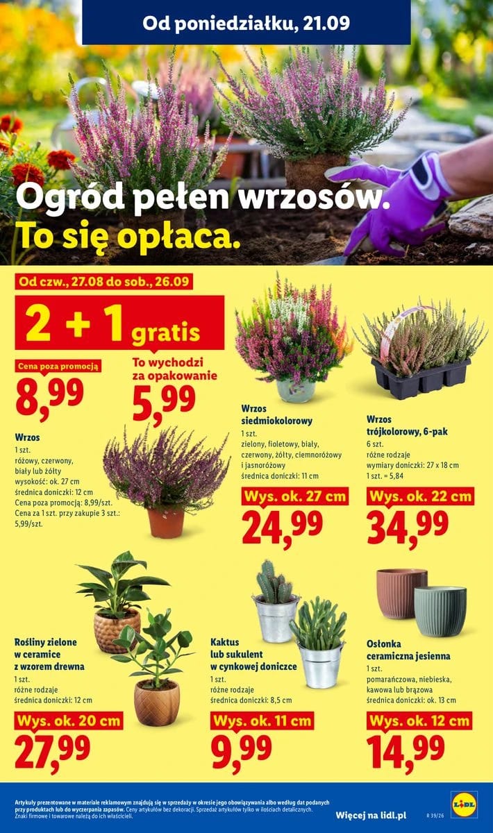 Gazetka Lidl, strona 91 z 99