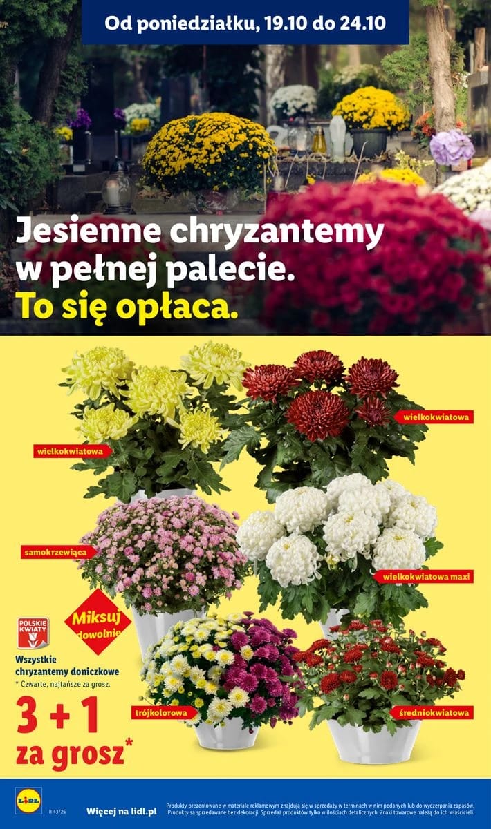 Gazetka Lidl, strona 102 z 105