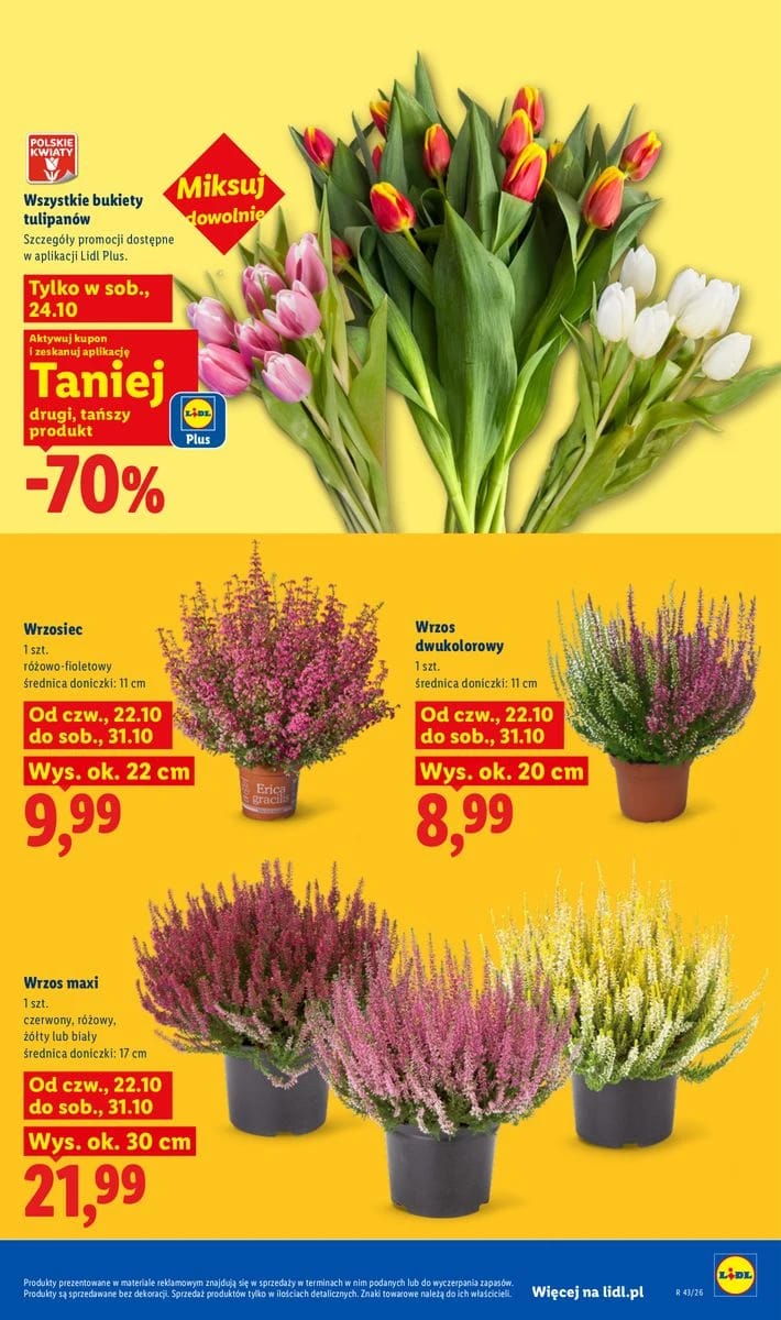 Gazetka Lidl, strona 103 z 105
