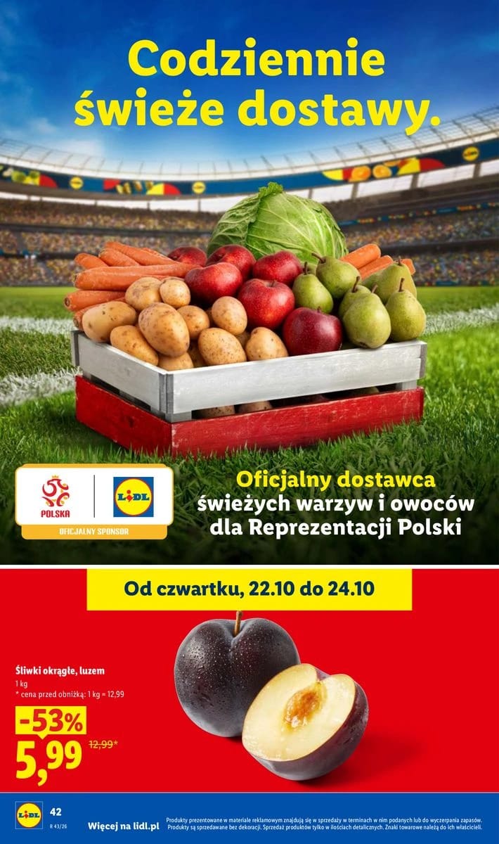 Gazetka Lidl, strona 44 z 105