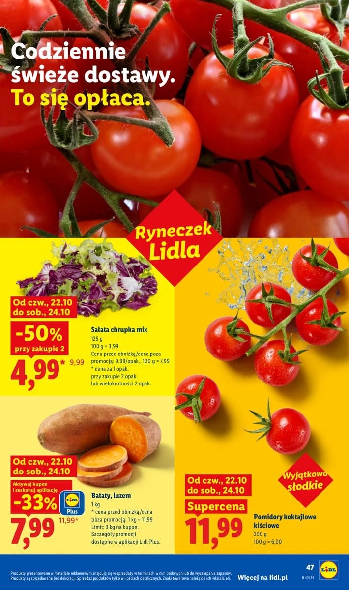 Gazetka Lidl, strona 49 z 105