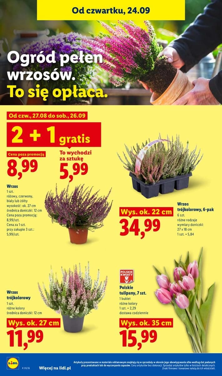 Gazetka Lidl, strona 100 z 105