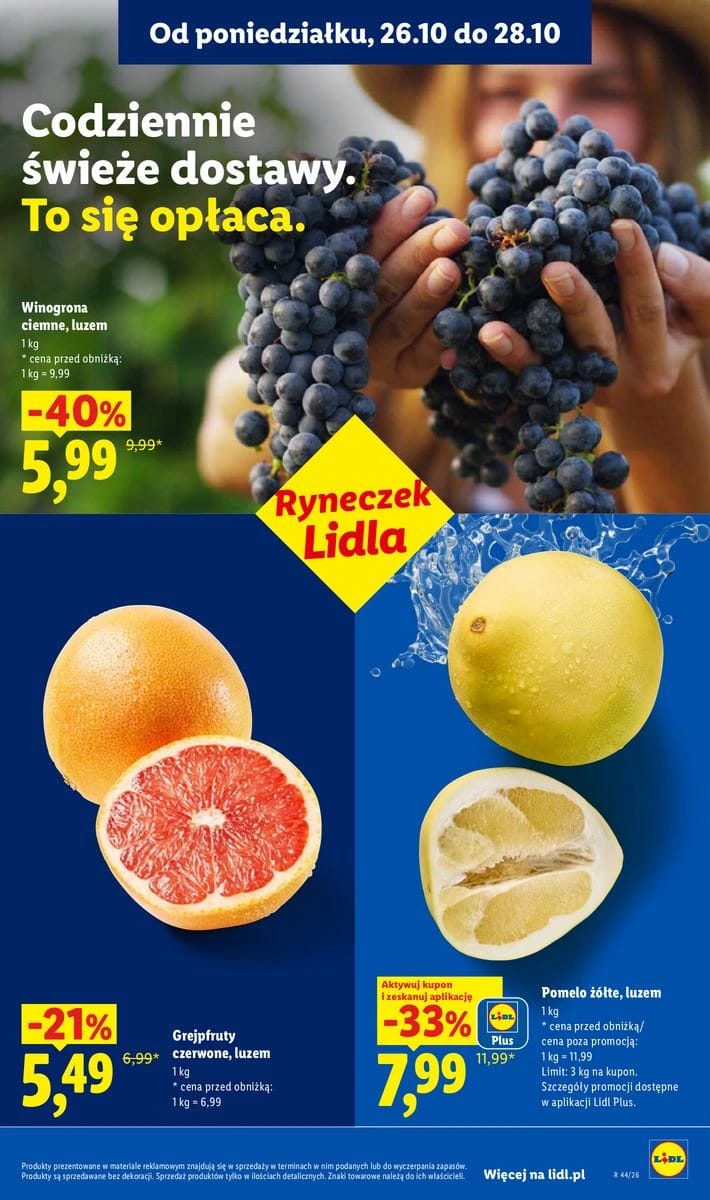Gazetka Lidl, strona 41 z 105