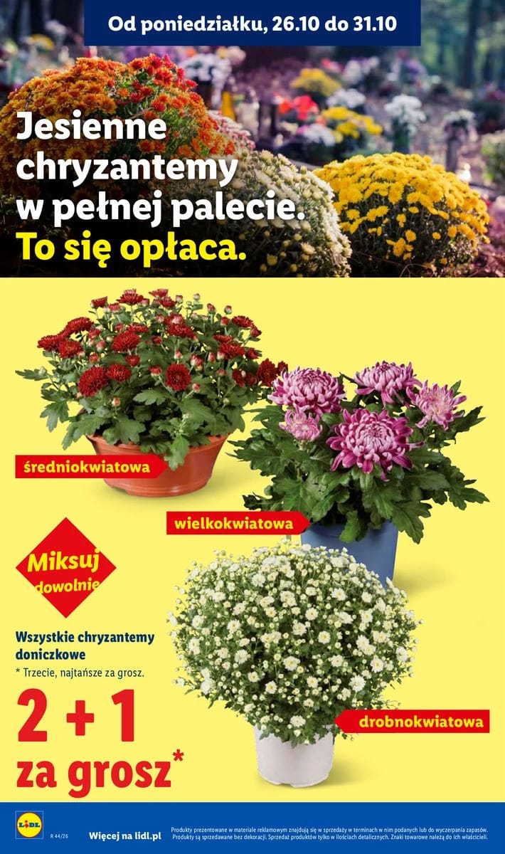 Gazetka Lidl, strona 44 z 105