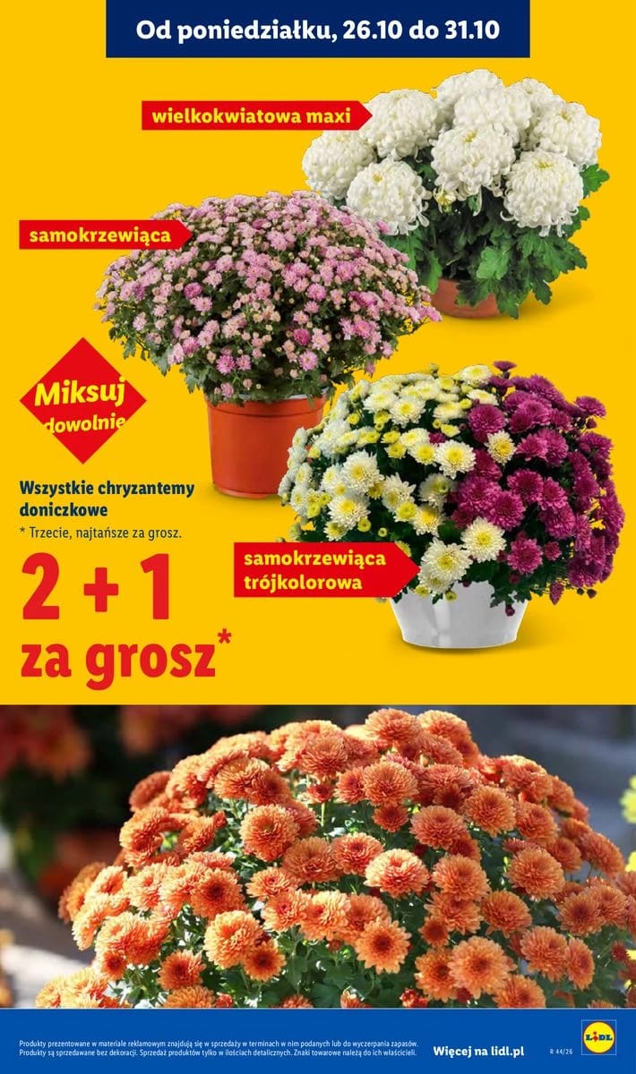 Gazetka Lidl, strona 45 z 105