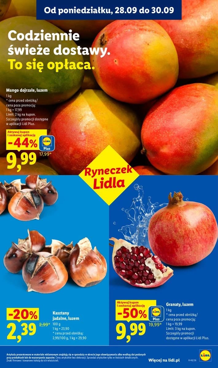 Gazetka Lidl, strona 45 z 101