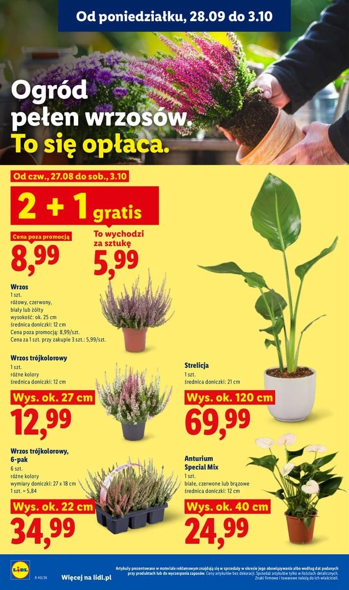 Gazetka Lidl, strona 88 z 101