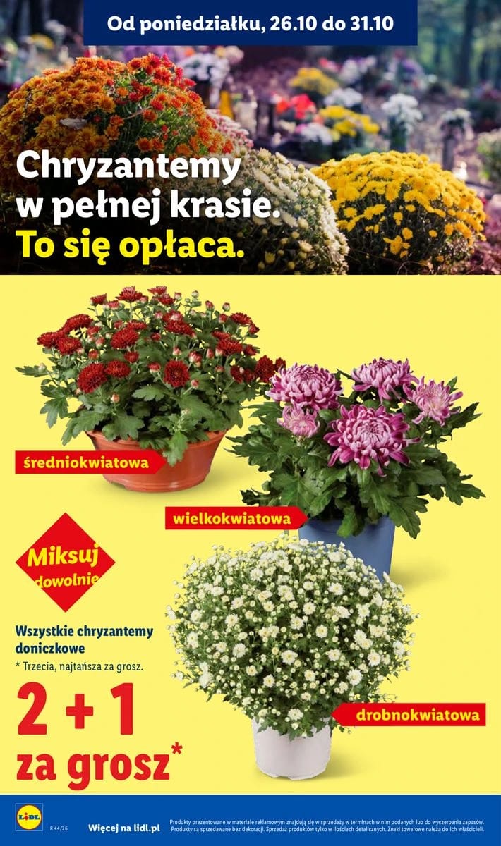 Gazetka Lidl, strona 4 z 118