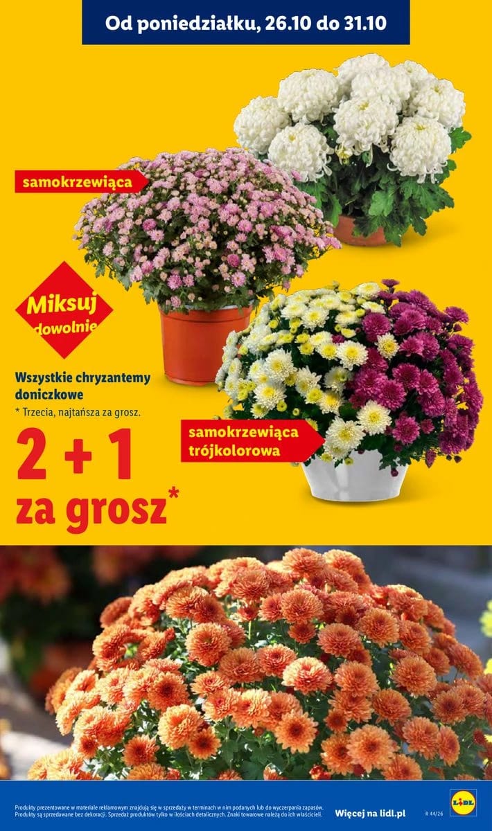 Gazetka Lidl, strona 5 z 118