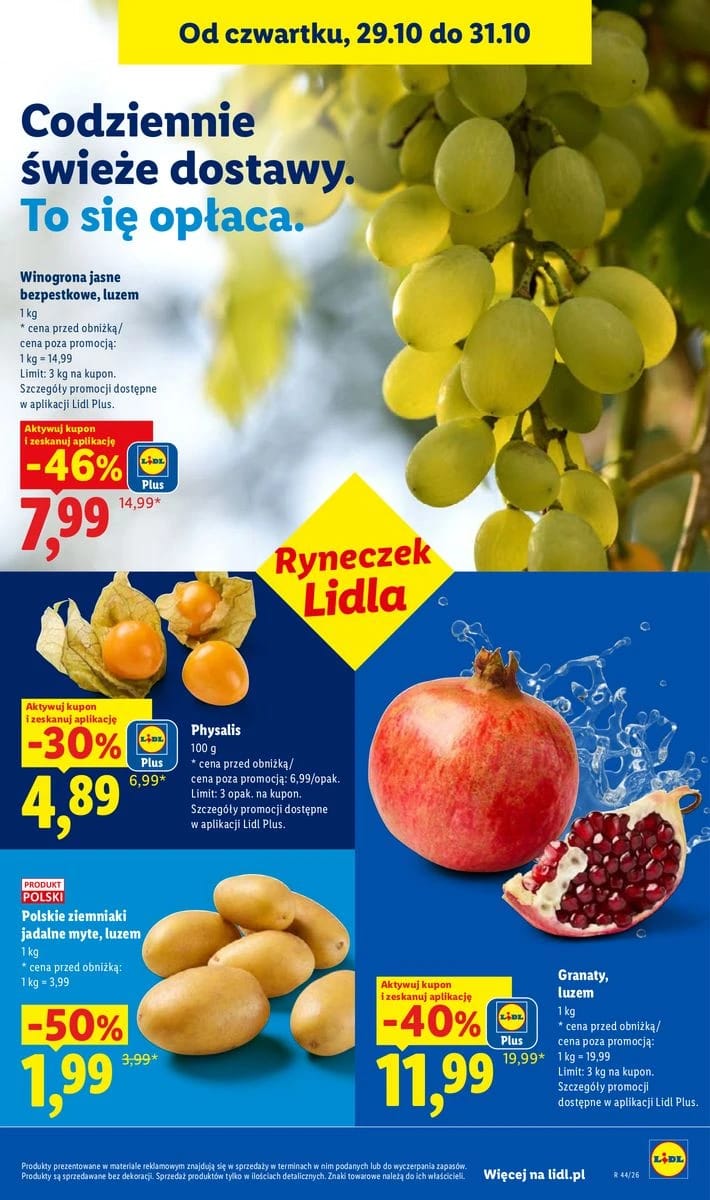 Gazetka Lidl, strona 49 z 118
