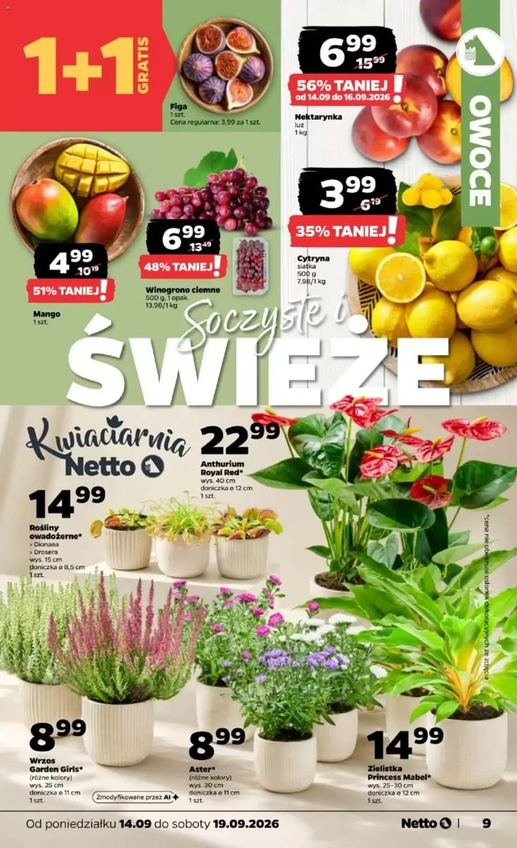 Gazetka Netto, strona 9 z 39