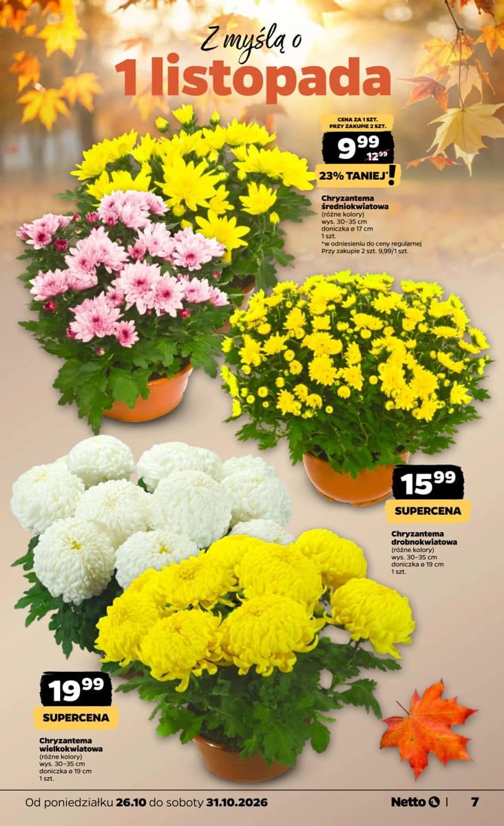 Gazetka Netto, strona 7 z 43