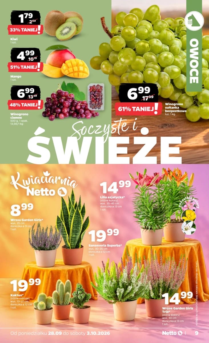 Gazetka Netto, strona 9 z 36