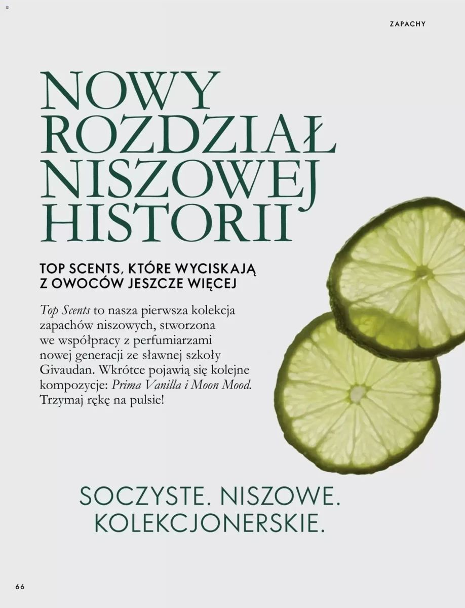 Gazetka Oriflame, strona 66 z 172