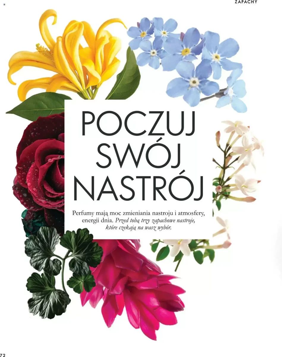 Gazetka Oriflame, strona 72 z 172