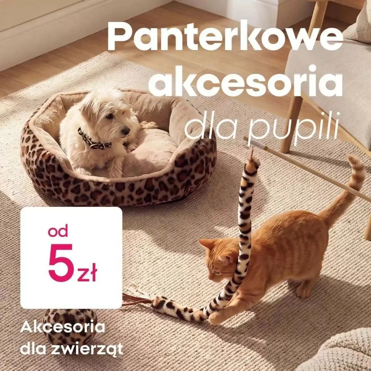 Gazetka Pepco, strona 3 z 8