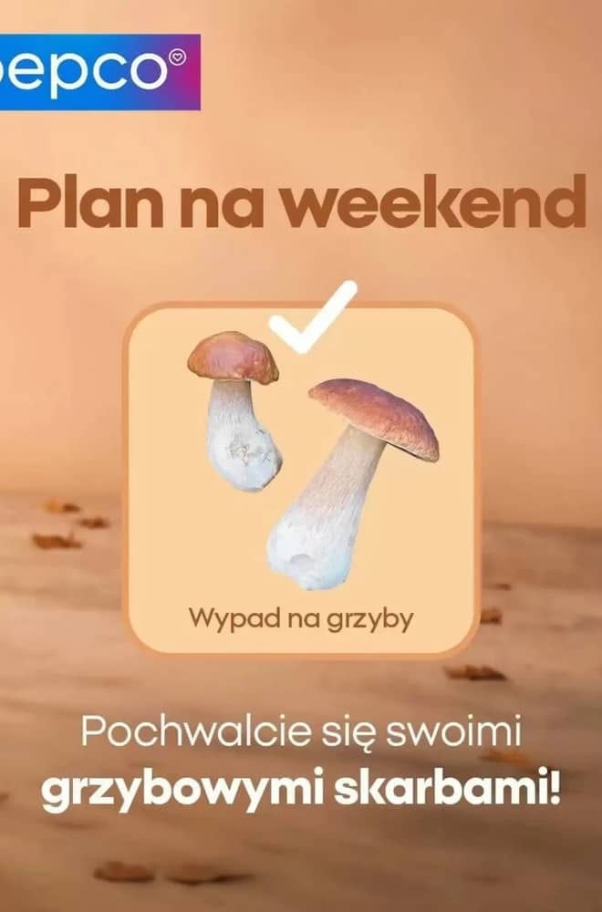Okładka gazetki Pepco, ważna 24 września 2026 – 8 października 2026