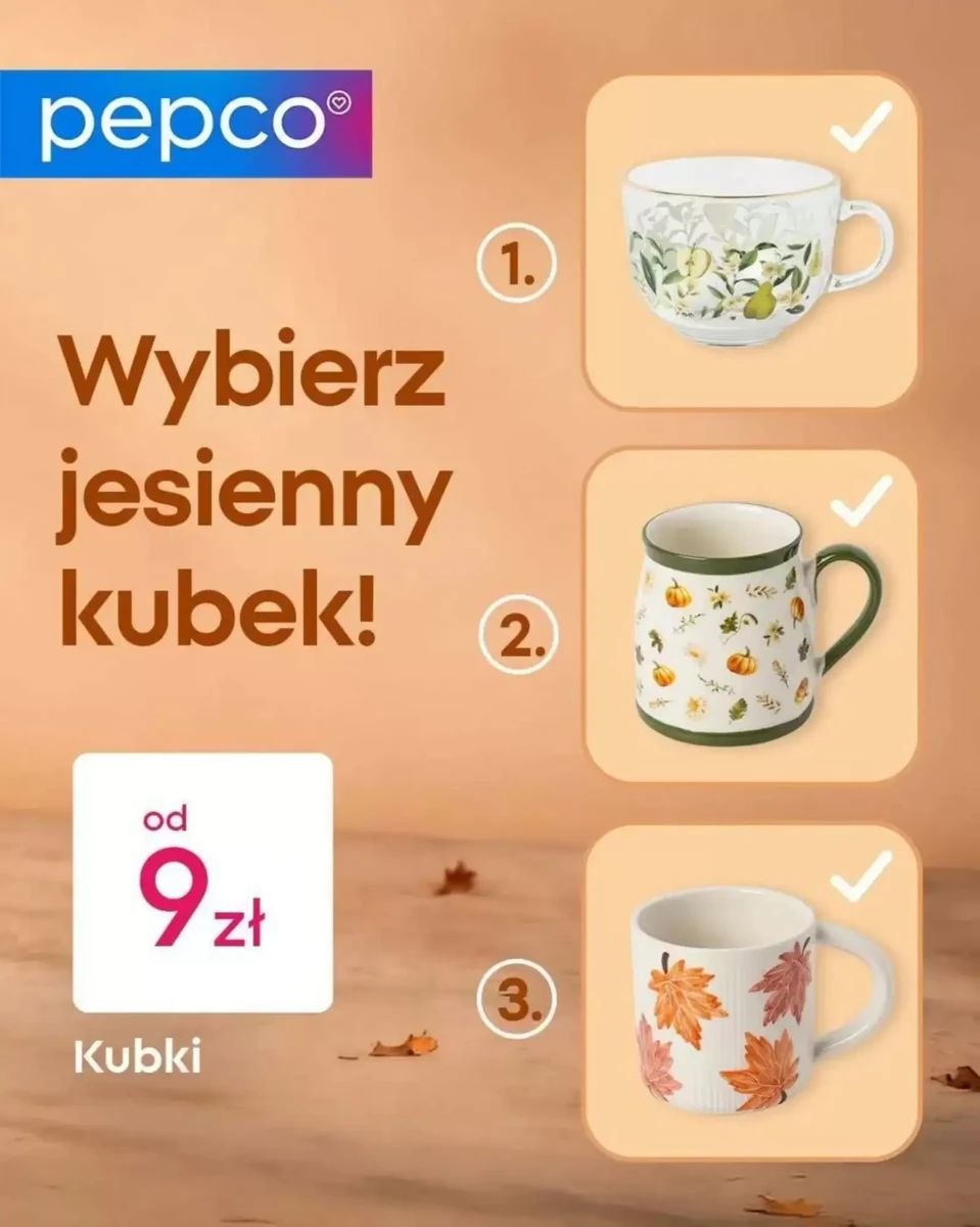 Gazetka Pepco, strona 1 z 1