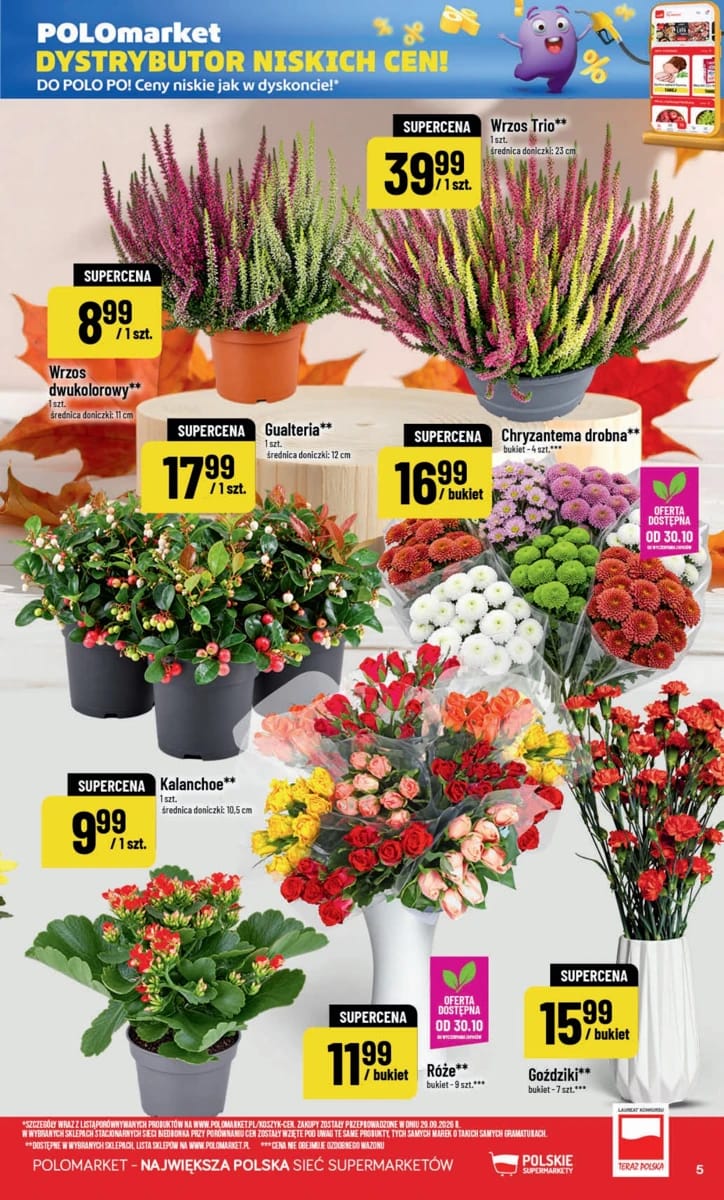 Gazetka PoloMarket, strona 5 z 78