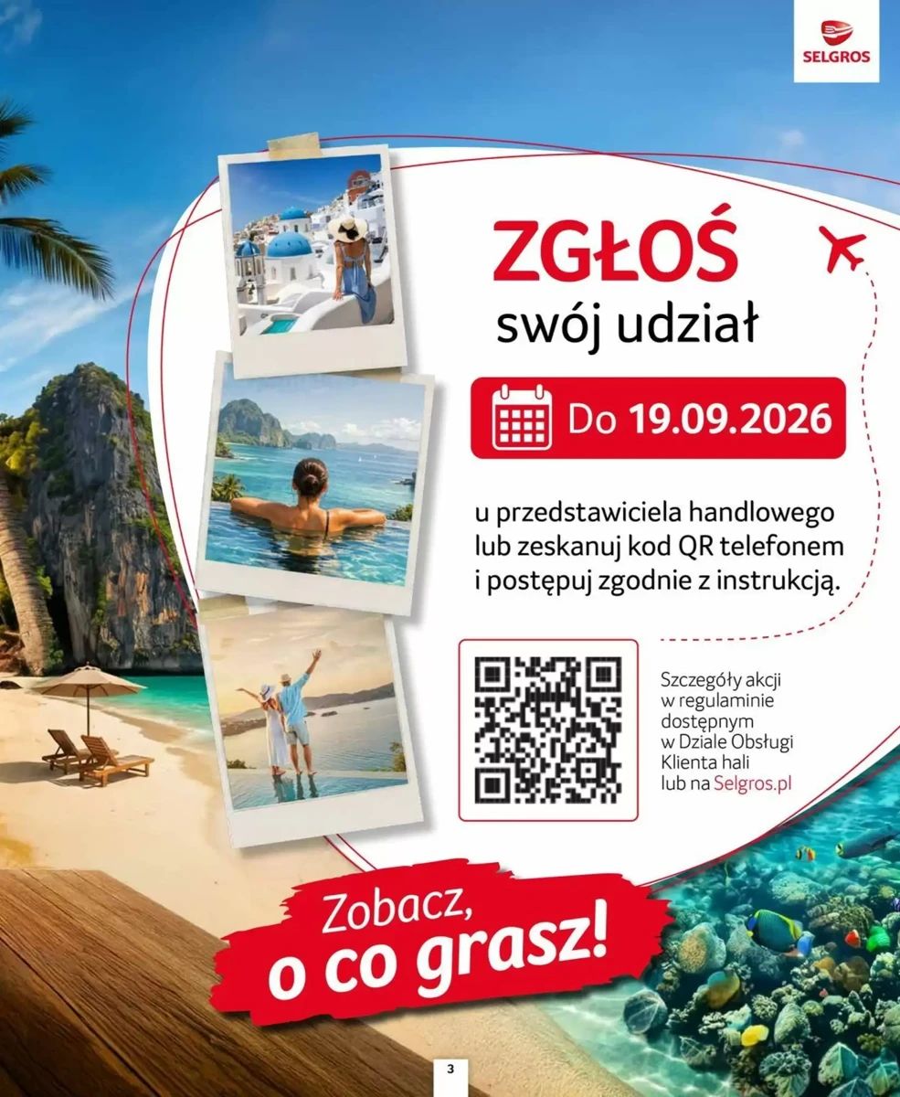 Gazetka Selgros, strona 3 z 39