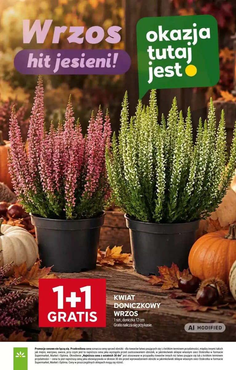 Gazetka Stokrotka, strona 37 z 45